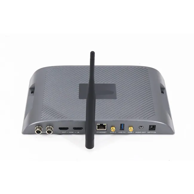 Actual product featuring SMA connectors, such as a Wi-Fi router or IoT gateway