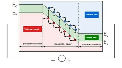 A table or matrix summarizing ESD diode selection criteria for different automotive bus types (LIN, CAN, CAN-FD, 24V CAN). A table or matrix summarizing ESD diode selection criteria for different automotive bus types (LIN, CAN, CAN-FD, 24V CAN).