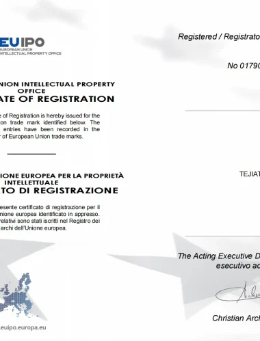 Eu Registration Certificate1