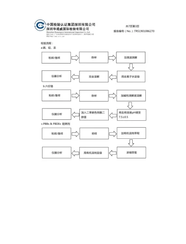 Test Report31