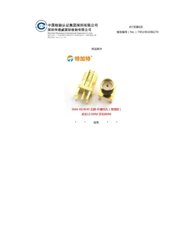 Test Report61